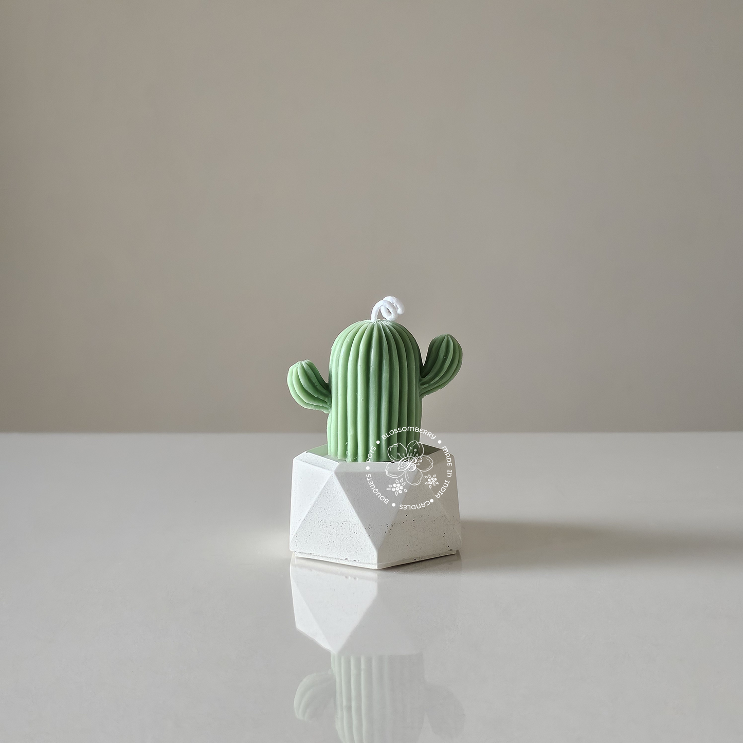 Cactus Candle In Hexagonal Pot