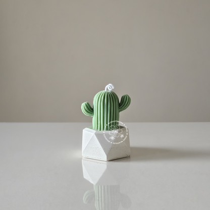 Cactus Candle In Hexagonal Pot