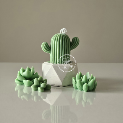 Cactus Candle In Hexagonal Pot
