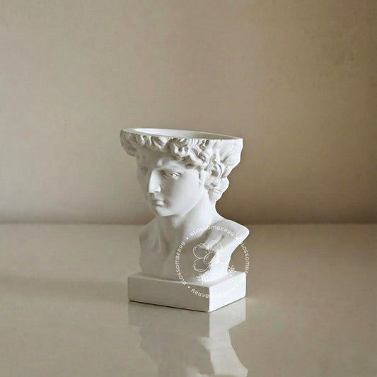 David Head Planter Pot