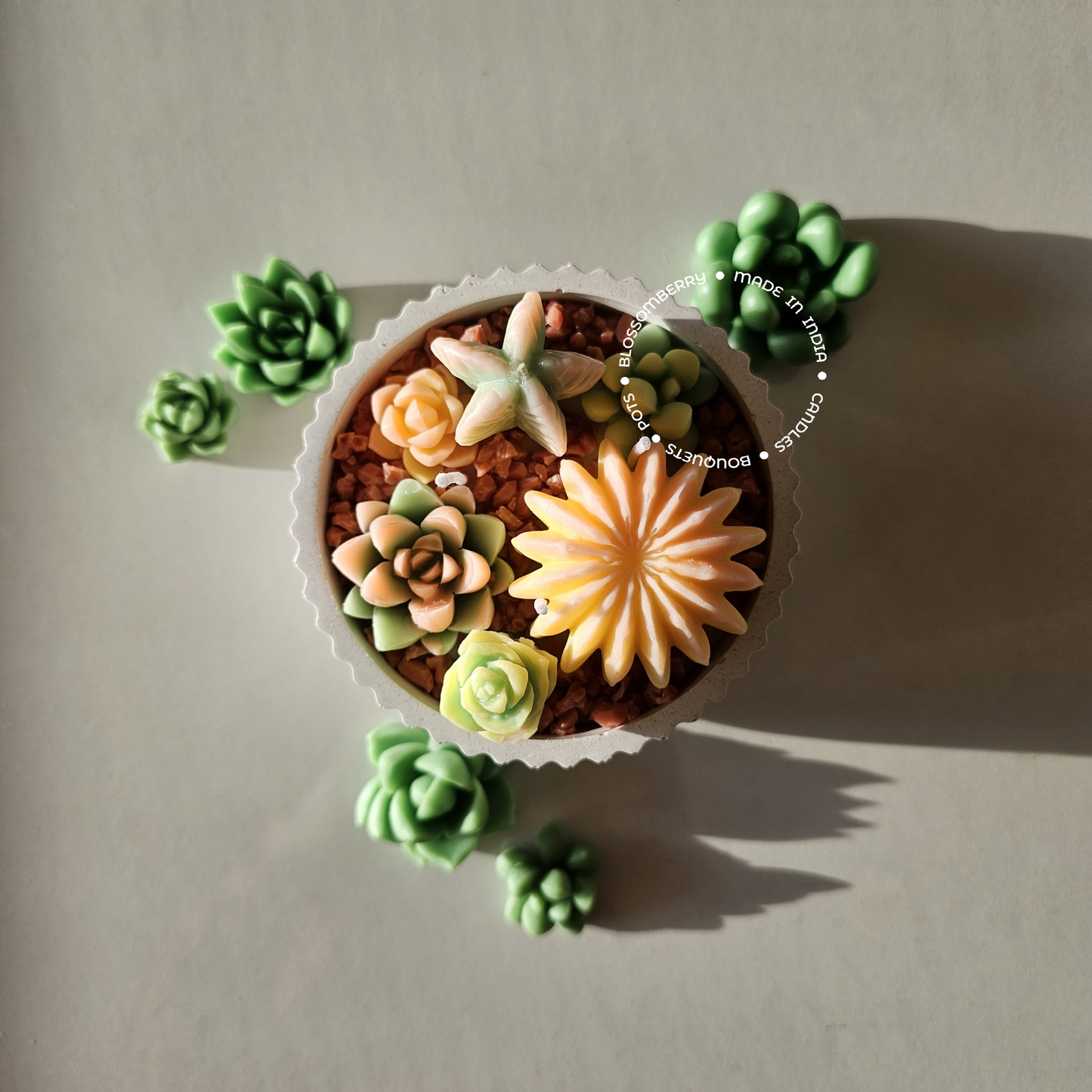 Succulent Candles In Ribbed Pot