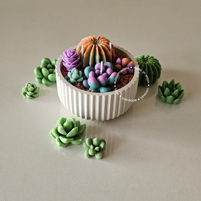 Succulent Candles In Ribbed Pot