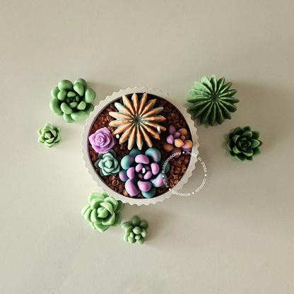 Succulent Candles In Ribbed Pot