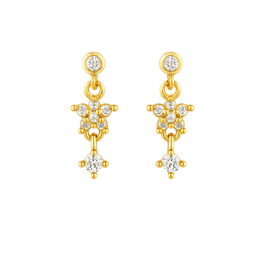 adskdhia Earrings (Copy)