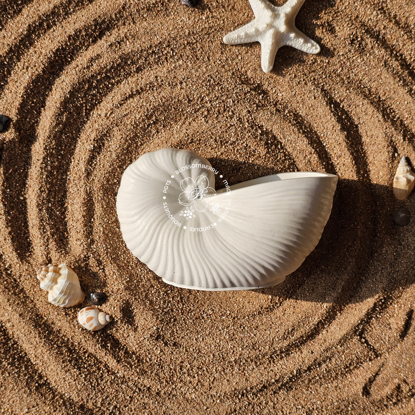 Round Conch Pot