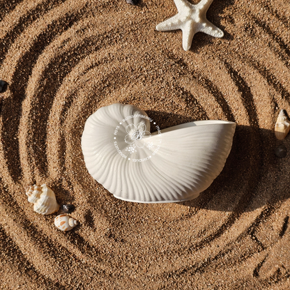 Round Conch Pot