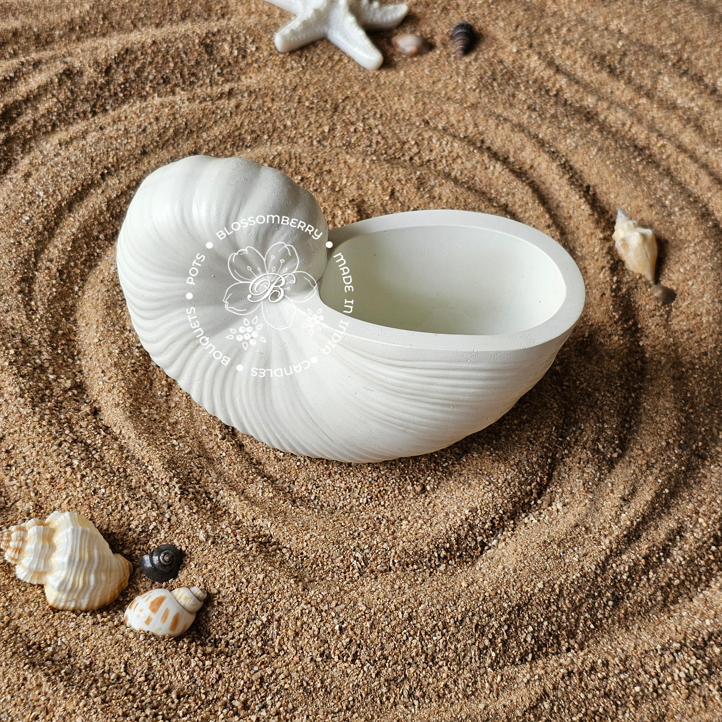 Round Conch Pot