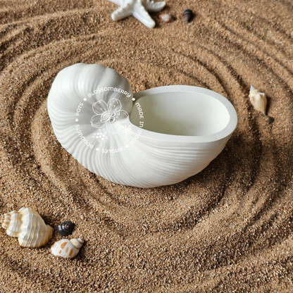 Round Conch Pot