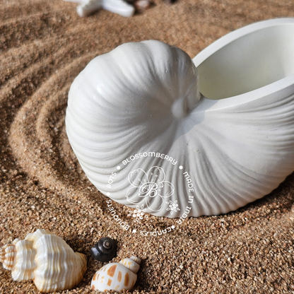 Round Conch Pot