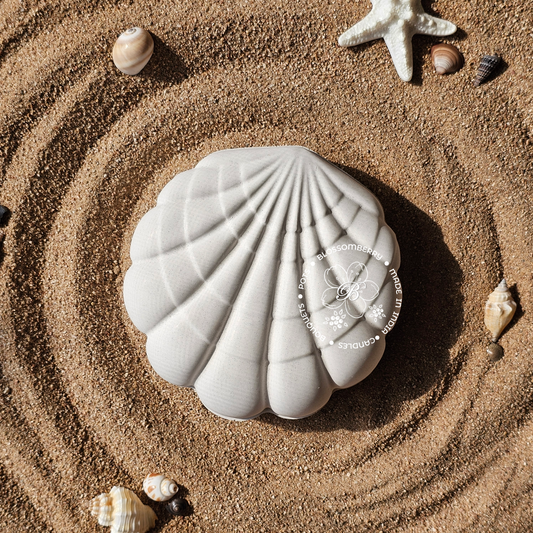Seashell Pot With Lid (White)