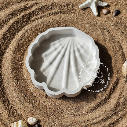 Seashell Pot With Lid (White)
