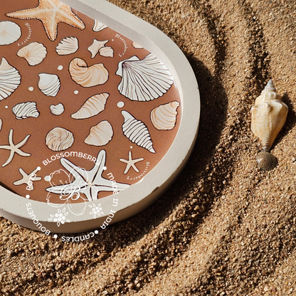Seashells Themed Long Oval Tray