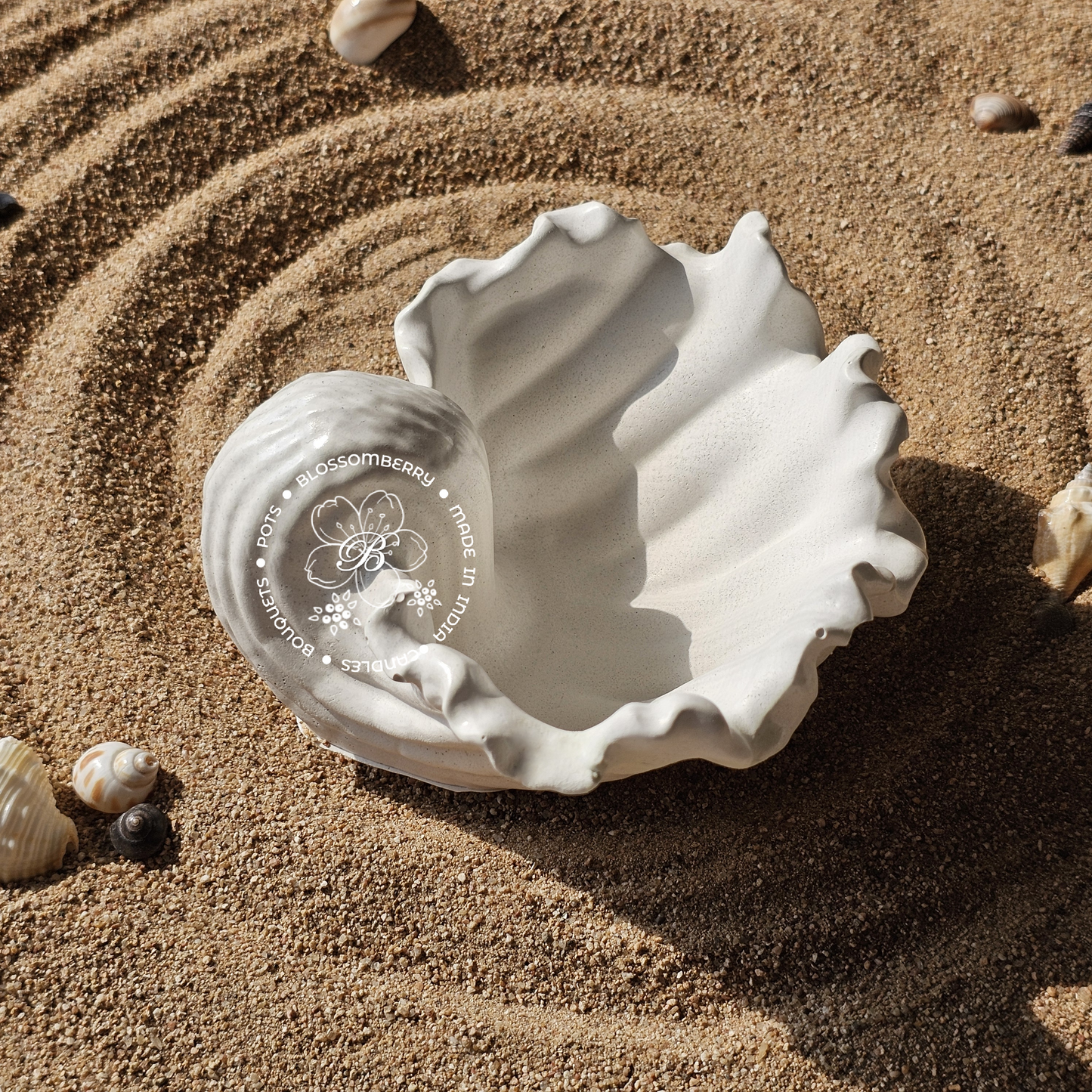 Wavey Conch Pot
