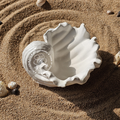 Wavey Conch Pot