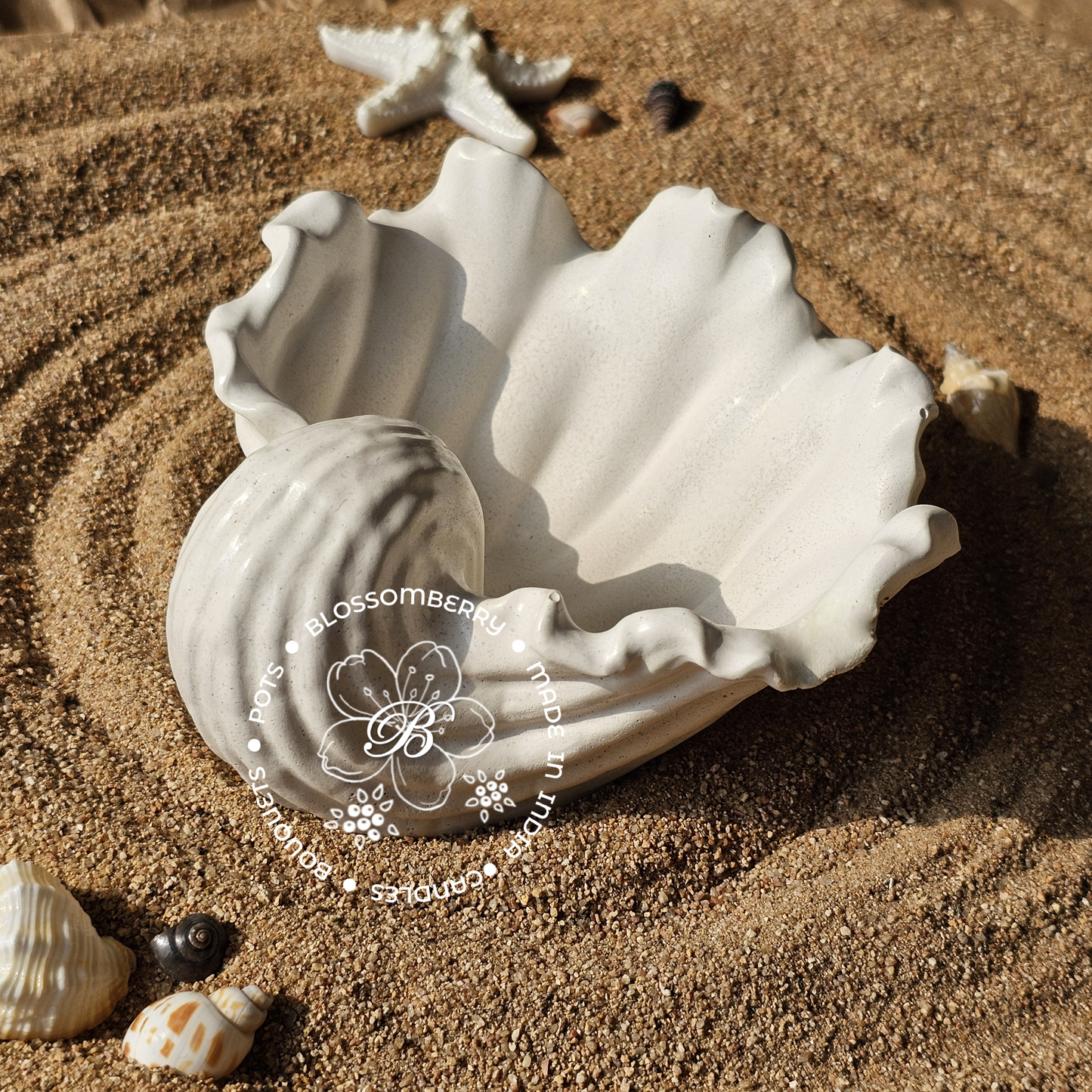 Wavey Conch Pot