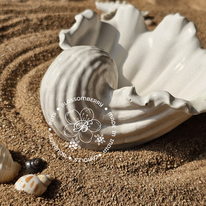 Wavey Conch Pot