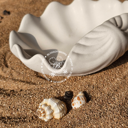 Wavey Shell Pot