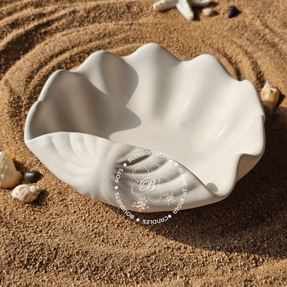 Wavey Shell Pot