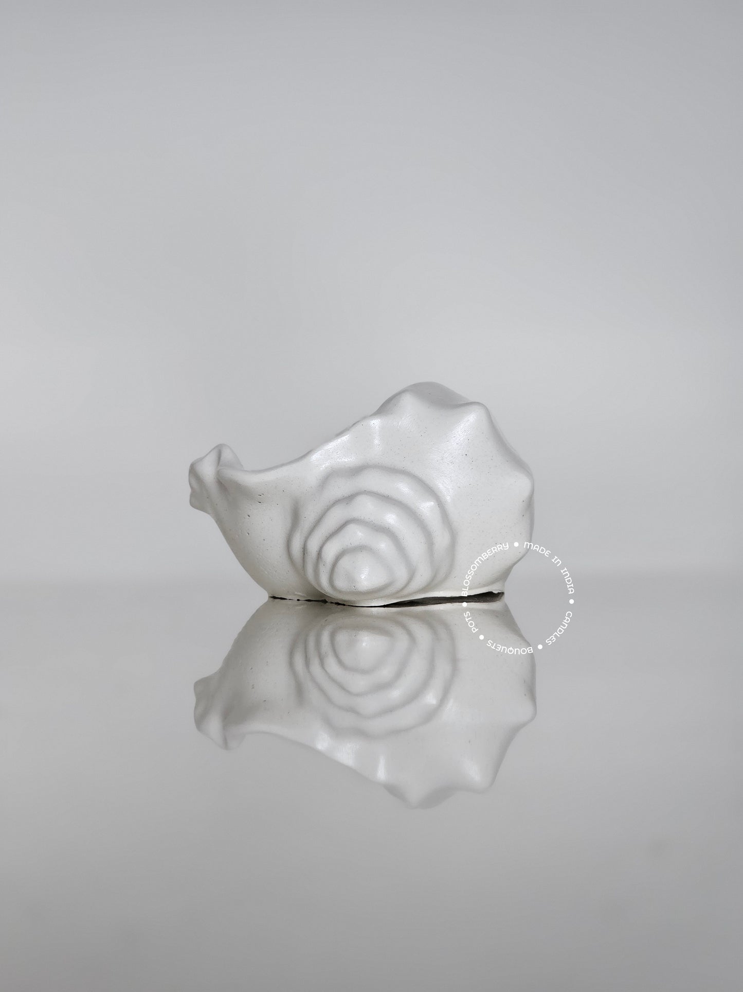 Shankh Pot