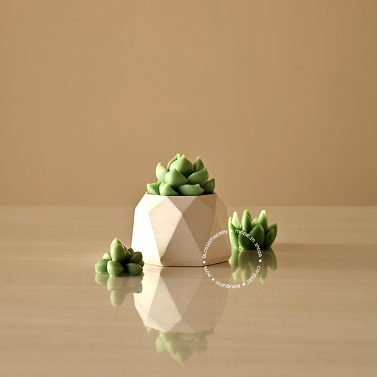 Succulent Candle In Geometric Pot