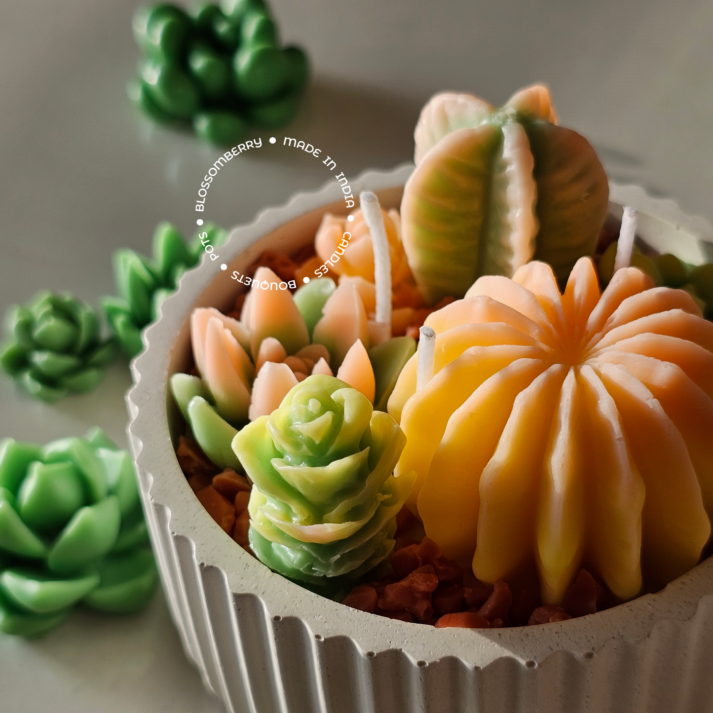 Succulent Candles In Ribbed Pot