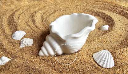 Wavey Shell Pot