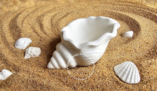 Wavey Shell Pot