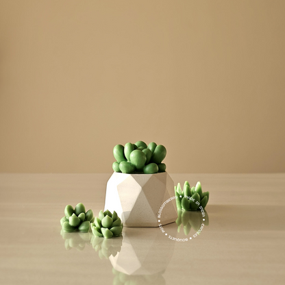 Succulent Candle In Geometric Pot