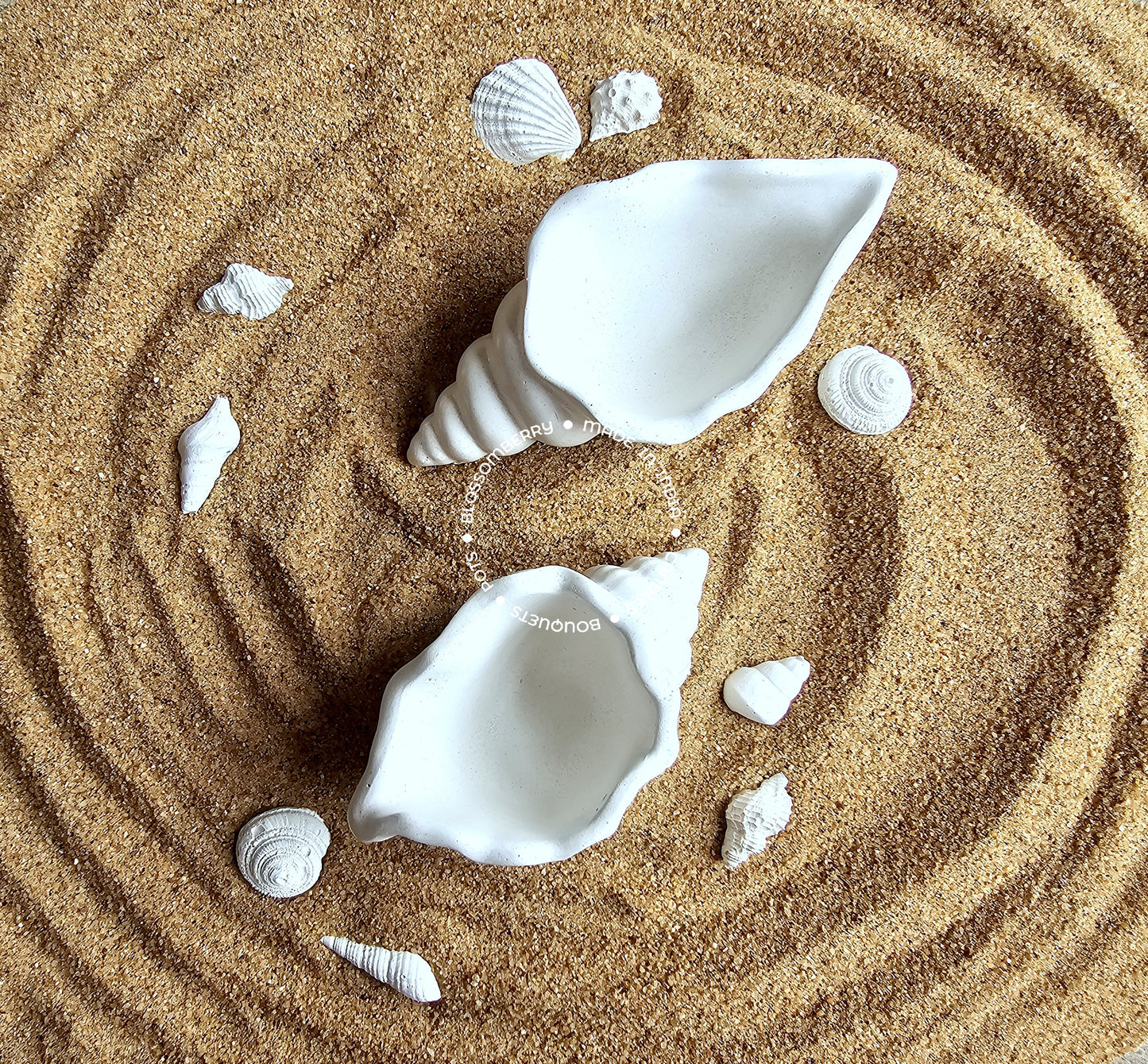 Plain Shell Pot