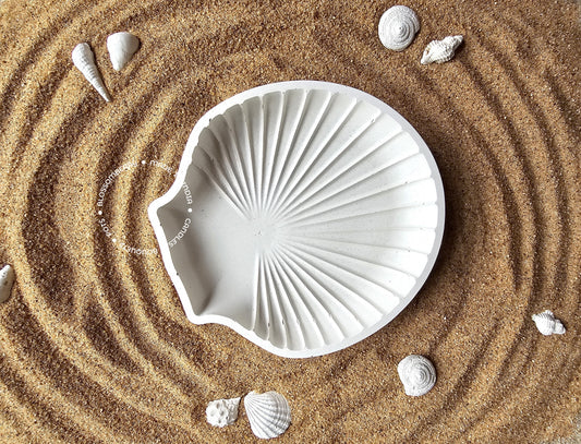 Sea Shell Tray