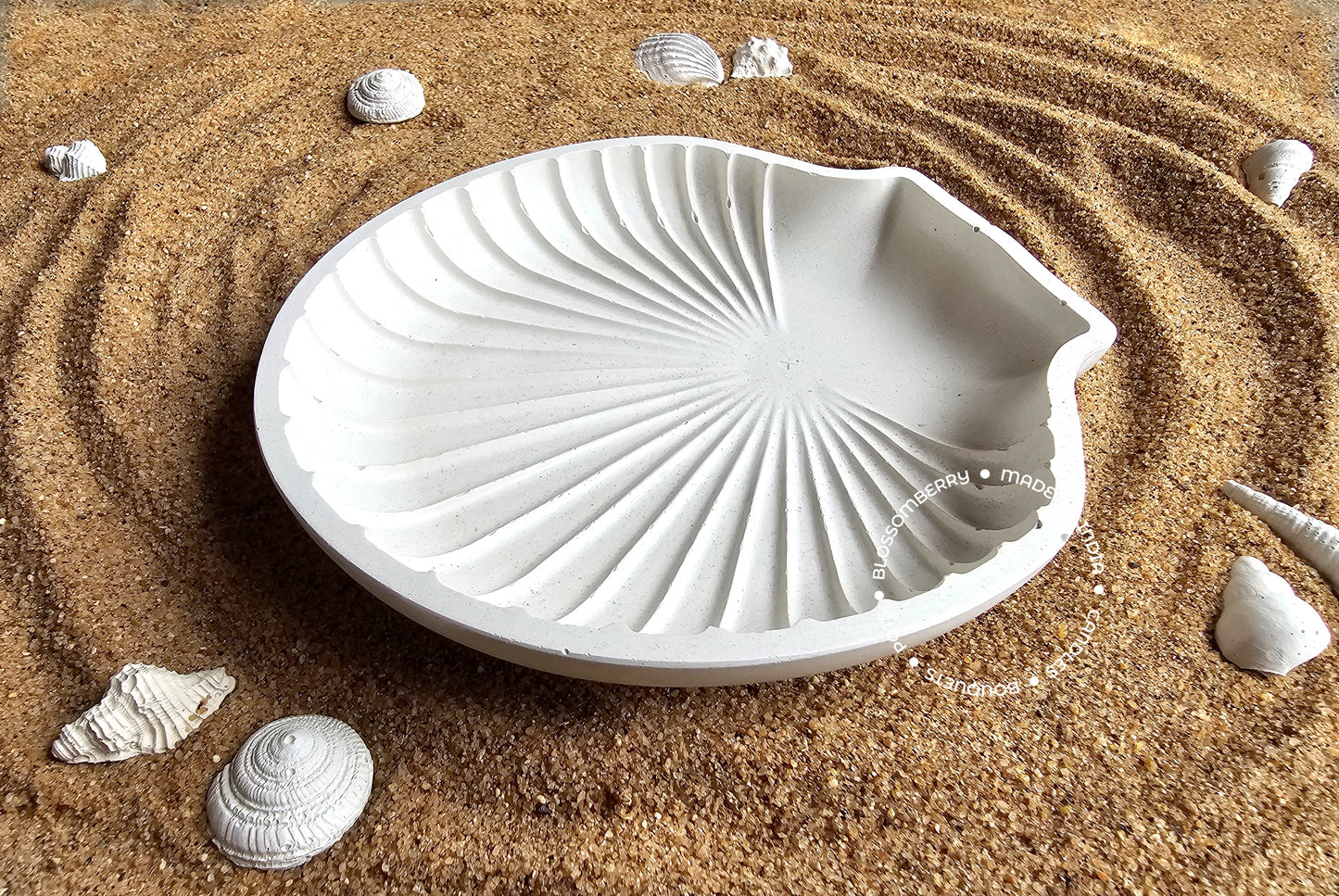 Sea Shell Tray