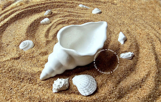 Plain Shell Pot