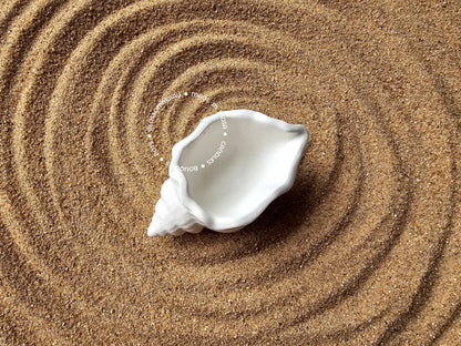 Wavey Shell Pot